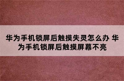 华为手机锁屏后触摸失灵怎么办 华为手机锁屏后触摸屏幕不亮